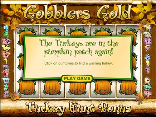 Gobblers Gold Bonus Round Start | Gobblers Gold | 5 Reel Indian Casino Video Slots | Indian Casino Slot Games | Online Indian Casino | USA Indian Casino Games Online