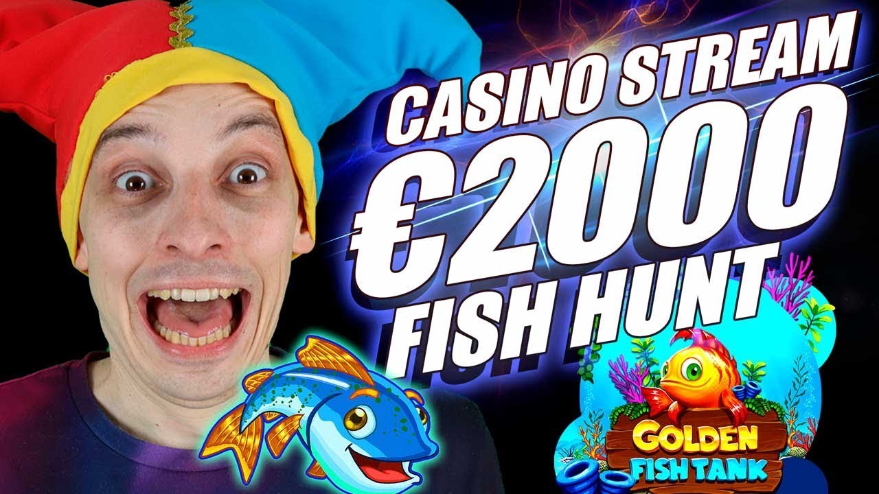 LIVE Indian Casino flow, €2000 BONUS HUNT | ONLINE SLOTS BIG WINS with mrBigSpin