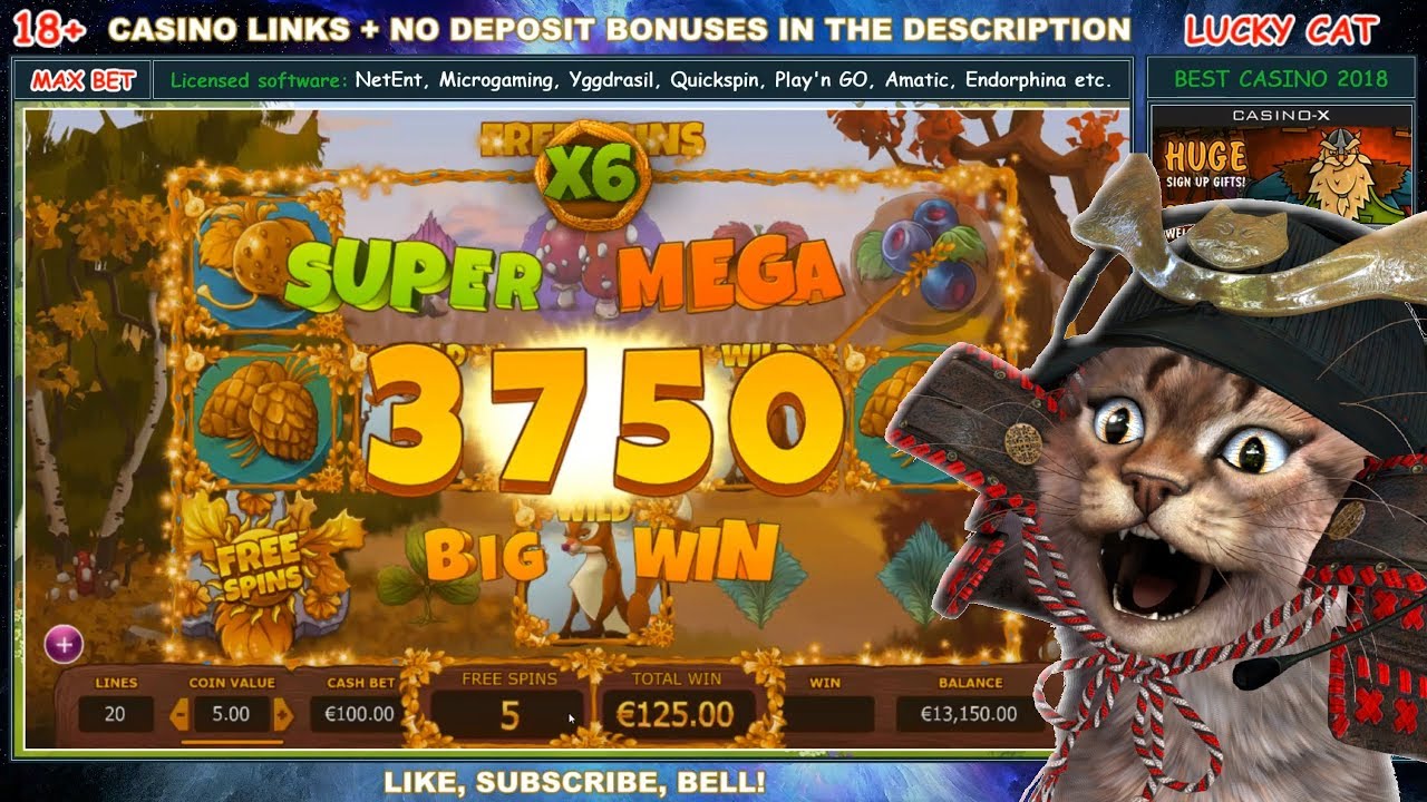 SLOT MACHINE BIG WIN MAX BET 100€ – Seasons (Yggdrasil) – PLAYING ONLINE Indian Casino GAMES