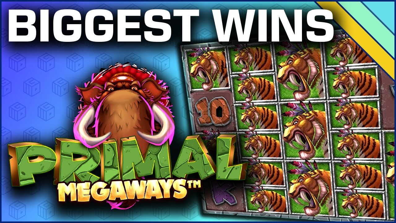 Top 10 Wins on Primal Megaways