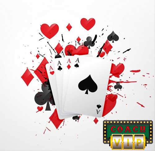 Online Casino Software