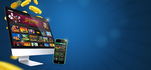 Online Casino Software