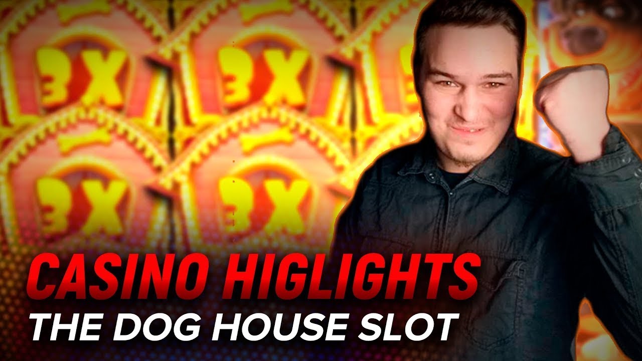 The Dog House Mega Win! Auf KLEINEN Einsatz!!? Online Indian Casino DEUTSCH