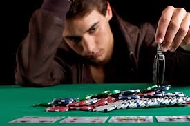Online Casino Software