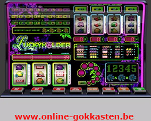 Online Casino Gokkasten Specialist