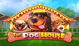 Casino Bonus