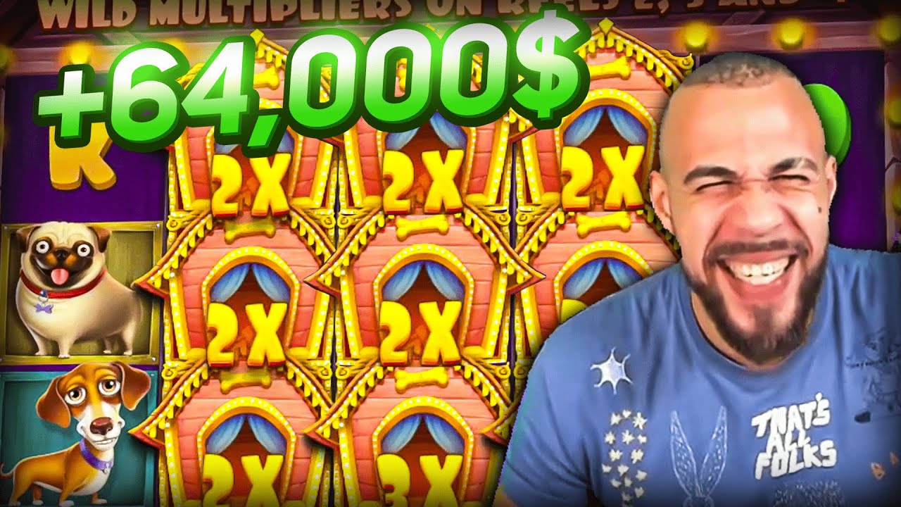 Streamer Ultra Mega Win +64 000$ on Dog House slot – TOP 5 Biggest wins of the week