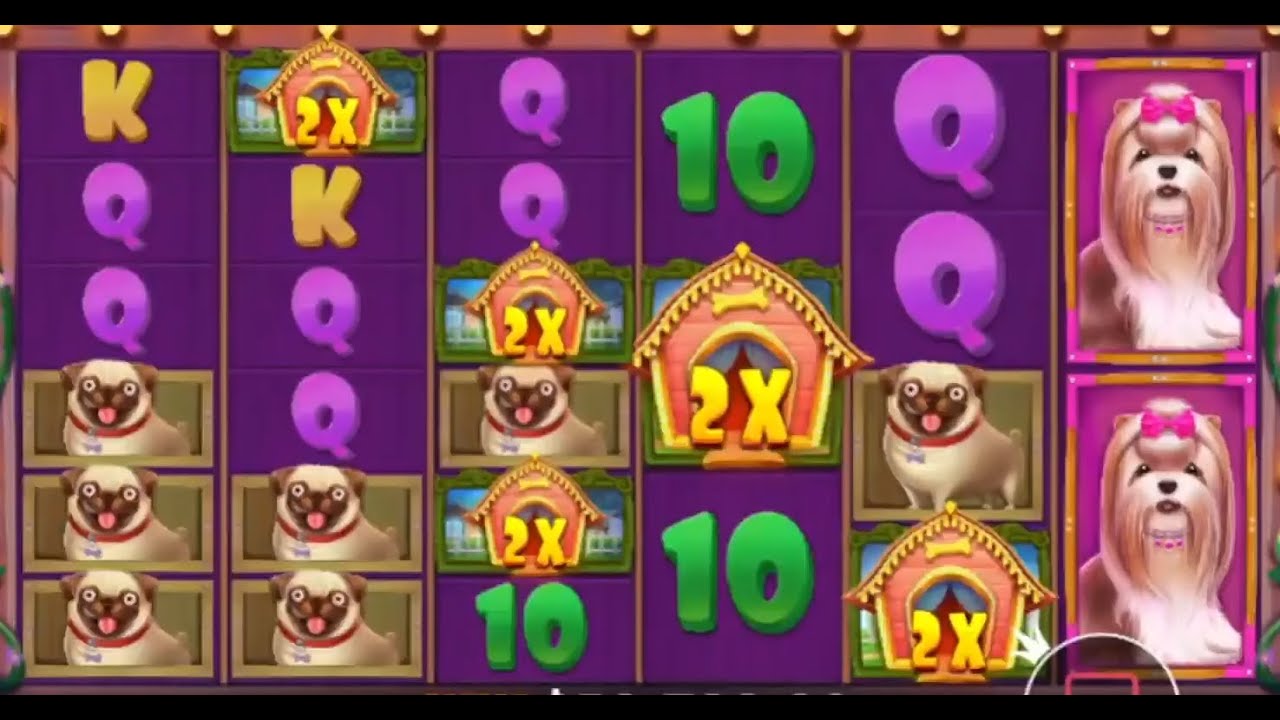 HIGHLIGHTS MOMENT ? TOP MEGA WINS IN ONLINE Indian Casino ? BEST SLOTS