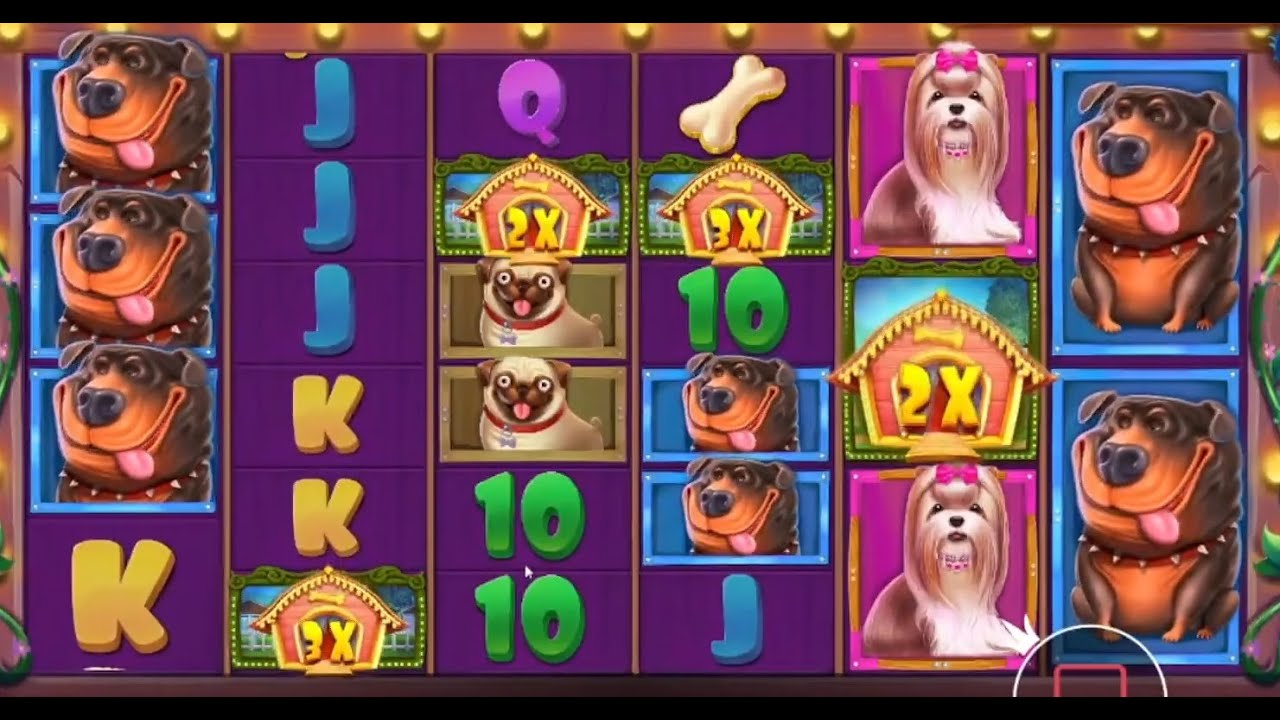 HIGHLIGHTS MOMENT ? TOP MEGA WINS IN ONLINE Indian Casino ? BEST SLOTS