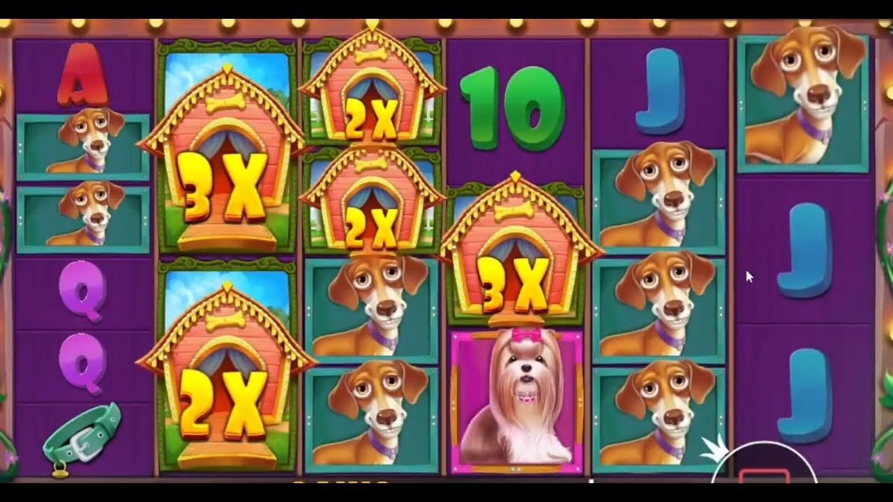 DAILY TOP MEGA WINS IN ONLINE Indian Casino ? BEST SLOTS ? HIGHLIGHTS MOMENT