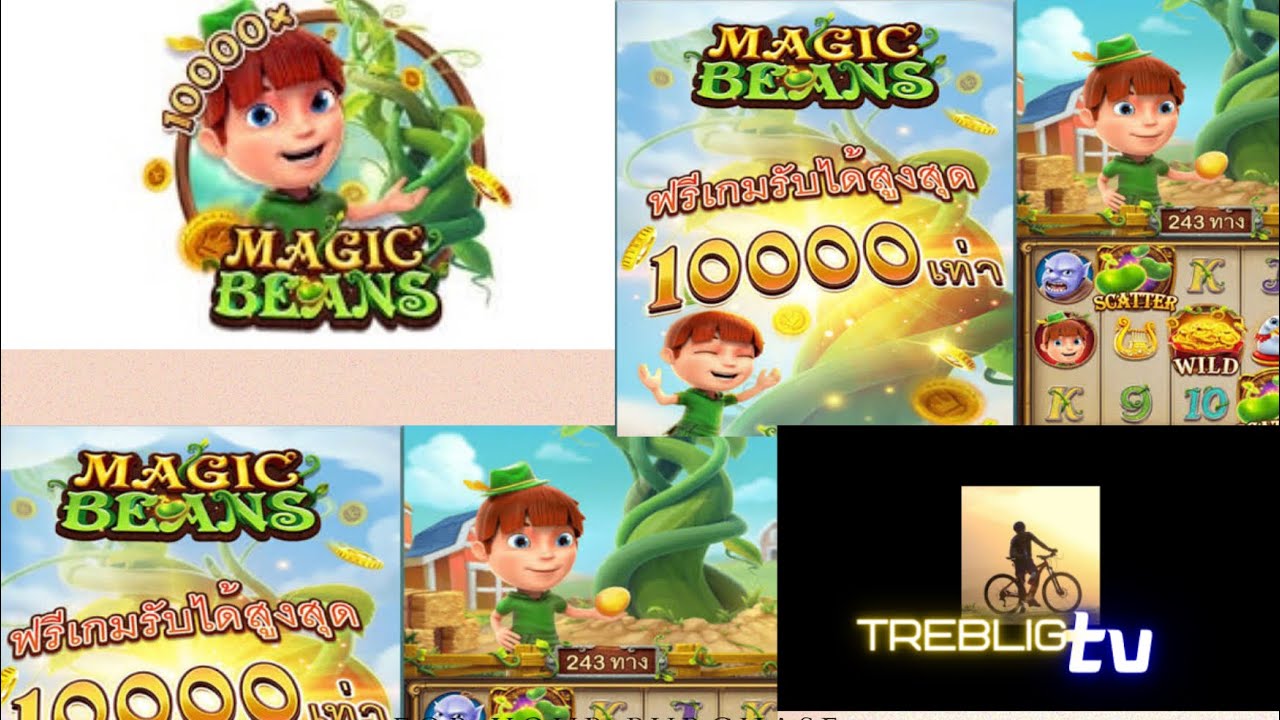 FACHAI MAGIC BEANS, DAMING BINIGAY NA SCATTERS MAKAKADAMI DIN KAYA⁉️ | ONLINE Indian Casino SMALL BET‼️