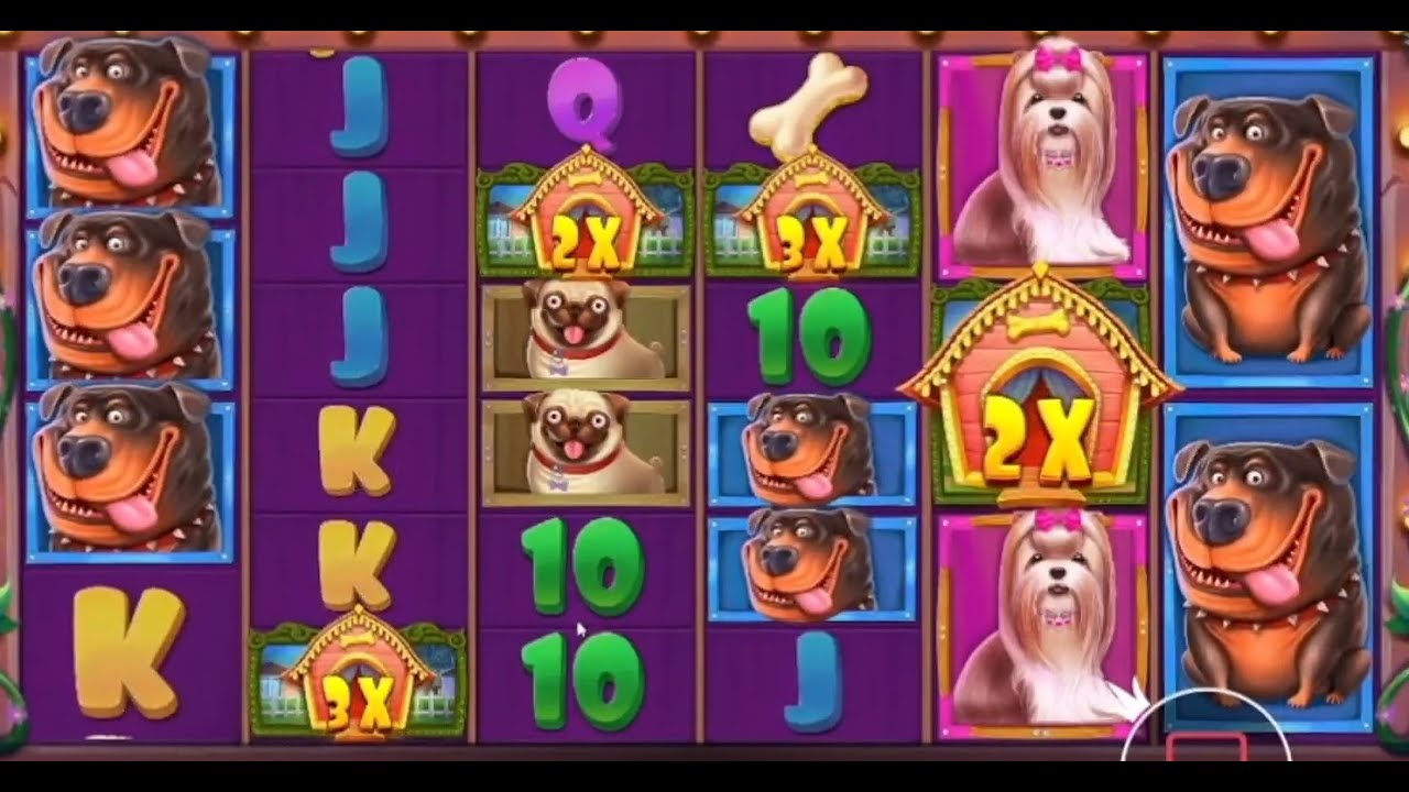 THE DOG HOUSE ? TOP MEGA WINS OF THE WEEK ? BEST ONLINE Indian Casino SLOTS