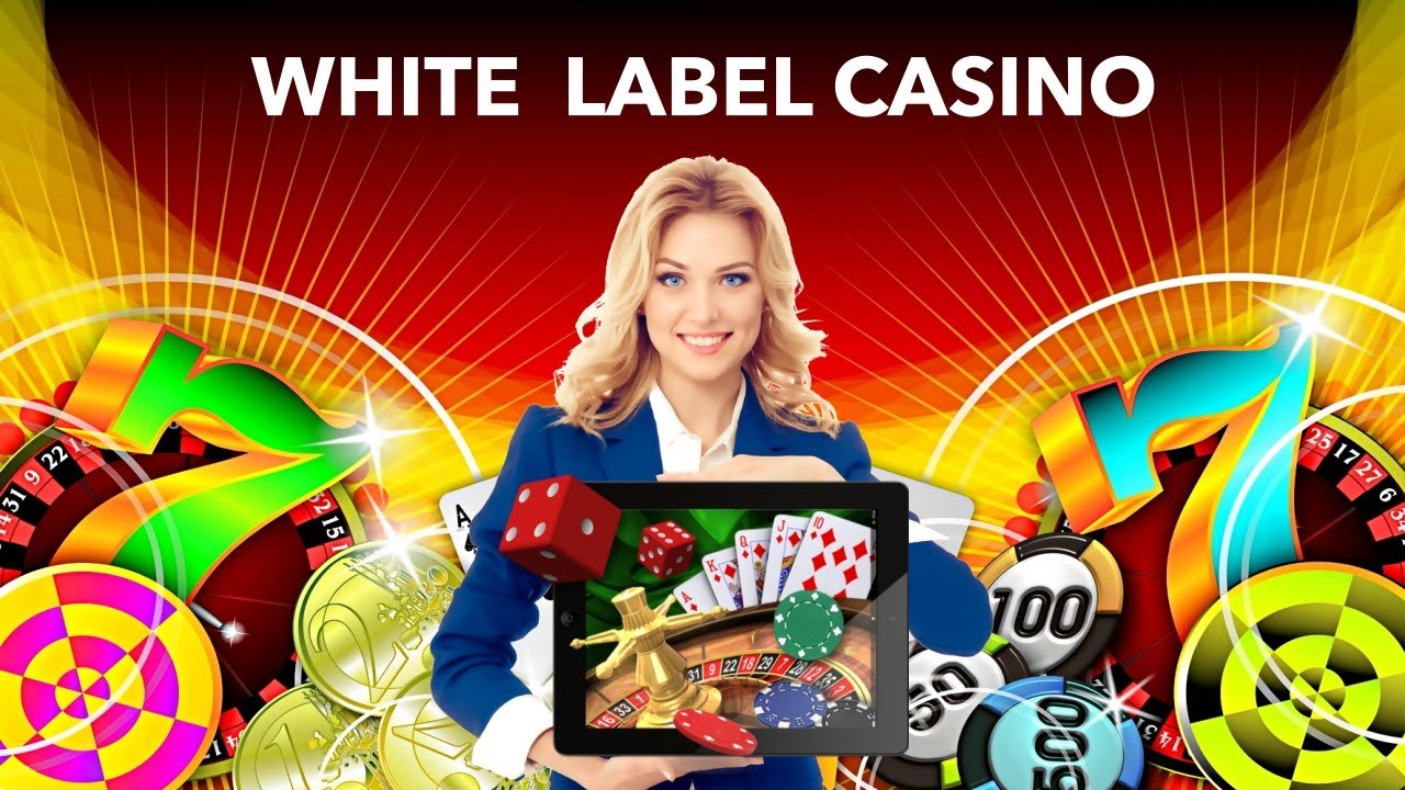 White Label Indian Casino – How To Start Online Indian Casino iGaming Business Quickly