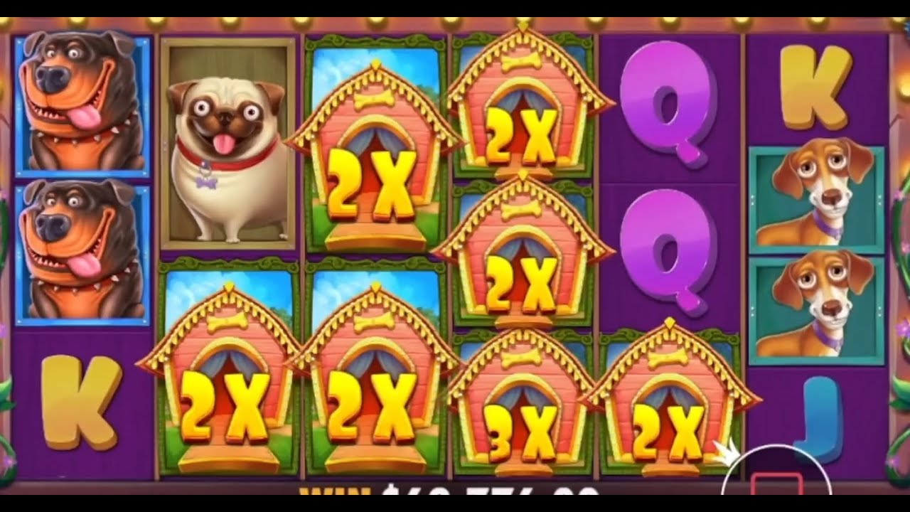 THE DOG HOUSE ? TOP MEGA WINS OF THE WEEK ? BEST ONLINE Indian Casino SLOTS