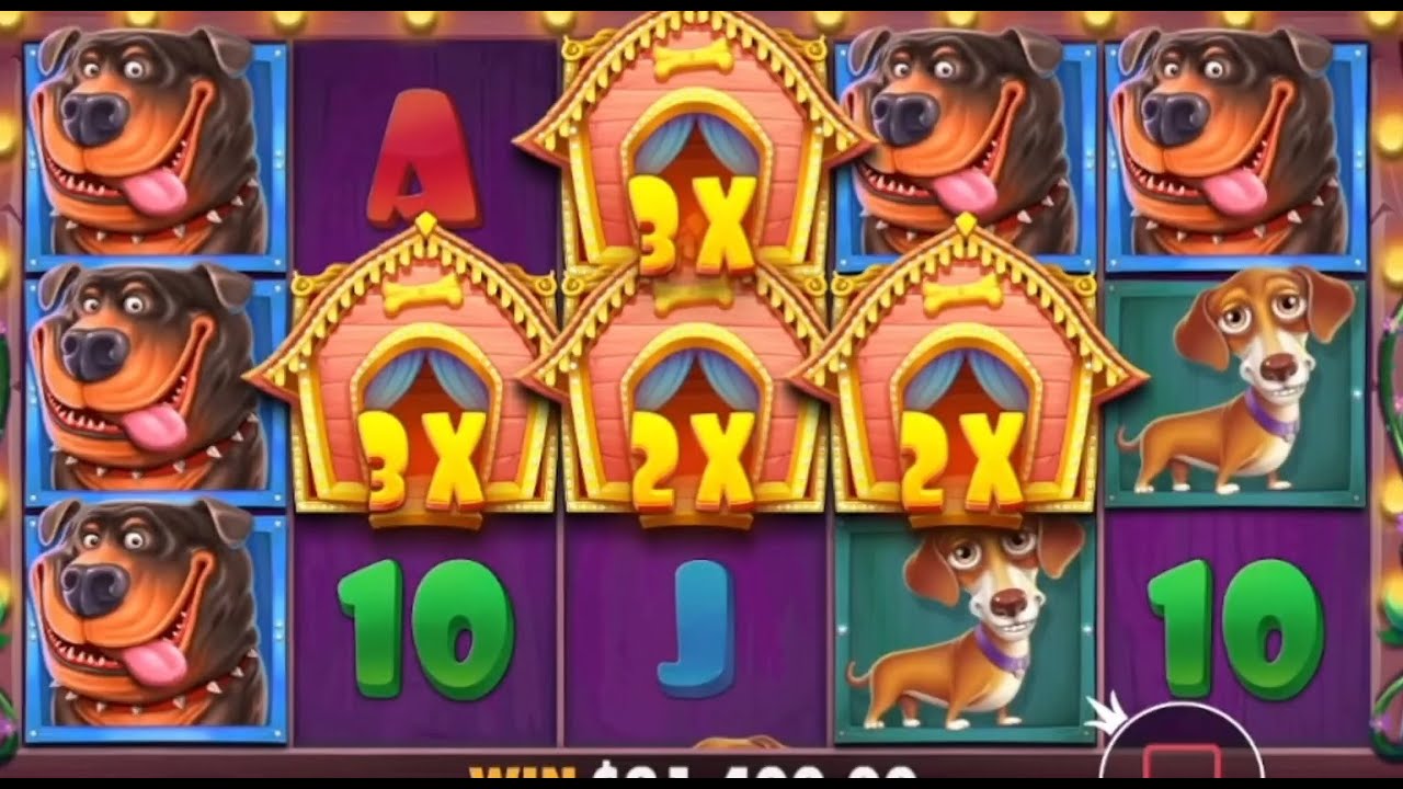 THE DOG HOUSE ? TOP MEGA WINS OF THE WEEK ? BEST ONLINE Indian Casino SLOTS