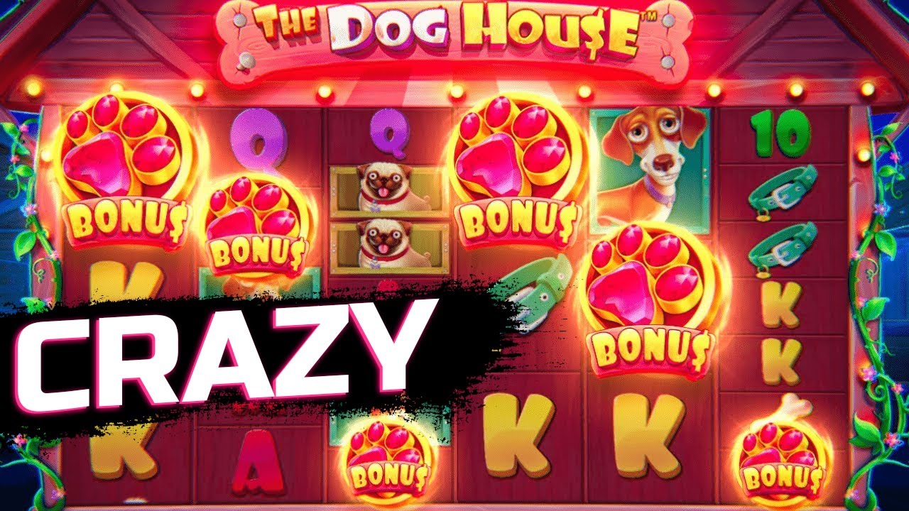 INSANE BONUS IN DOG HOUSE MEGAWAYS? | WINS OF THE WEEK ONLINE Indian Casino | Indian Casino ONLINE flow