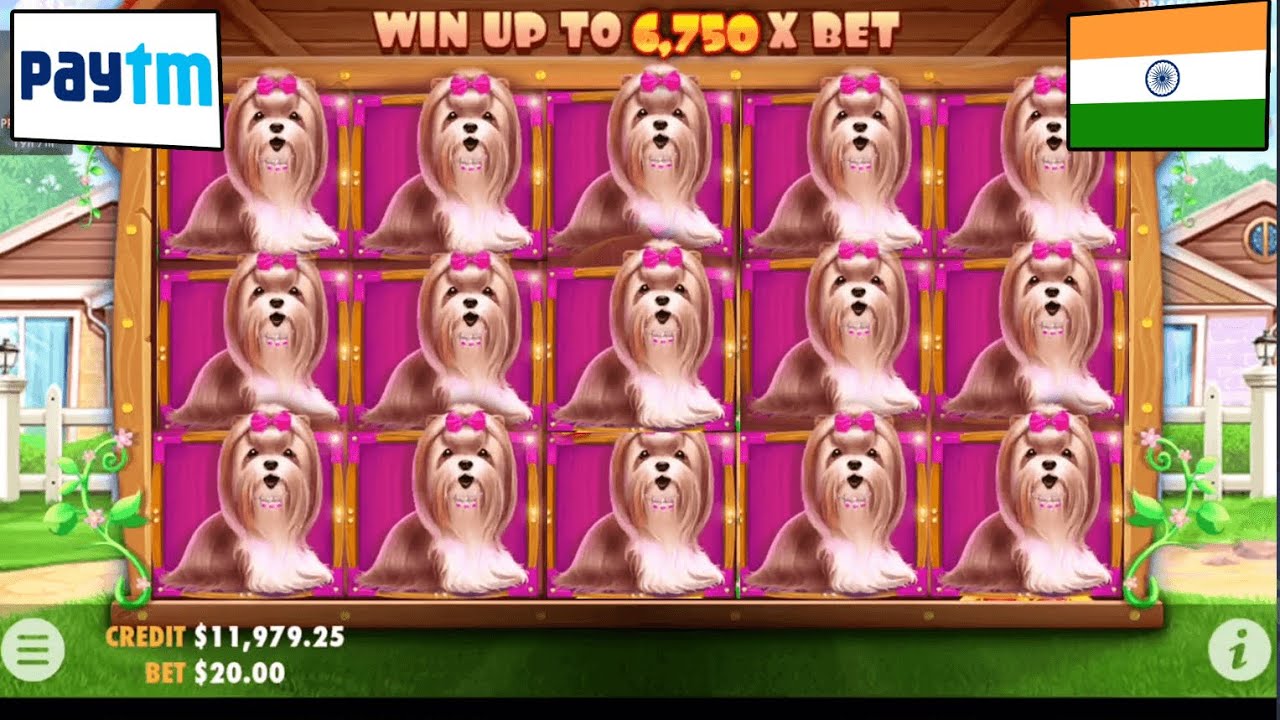 ?SPEED RECORD! FASTEST WIN ? 900 USD IN ONLINE Indian Casino INDIA FOR REAL MONEY! The Dog house